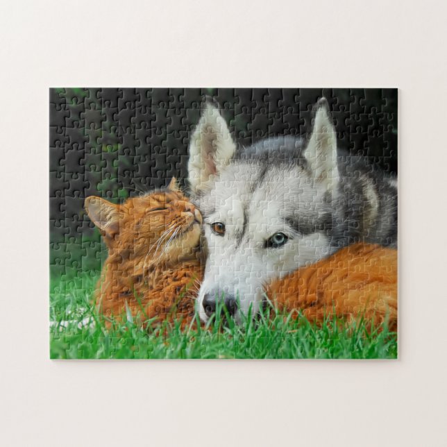 Puzzle El gato somalí Siberian Husky Cuerdo amigos insens (Horizontal)