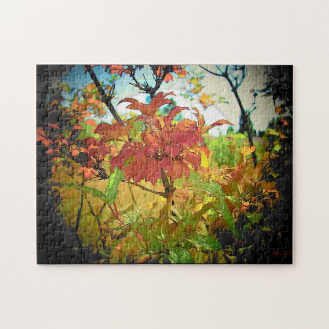 Puzzle "El giro" (Horizontal)