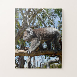 Puzzle El gran macho australiano Koala
