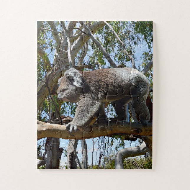 Puzzle El gran macho australiano Koala (Vertical)