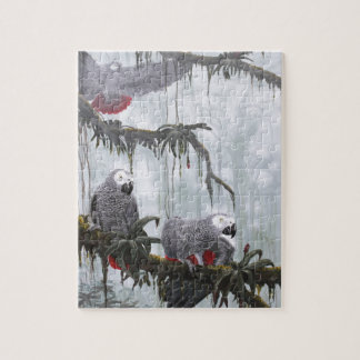 Puzzle El gris africano repite mecánicamente volar