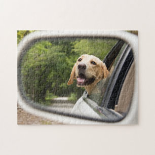Puzzle El Labrador Dorado En El Espejo Rearview