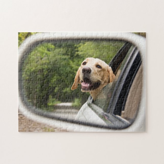Puzzle El Labrador Dorado En El Espejo Rearview (Horizontal)