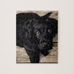 Puzzle El Labrador Negro recupera una pipa en la madera