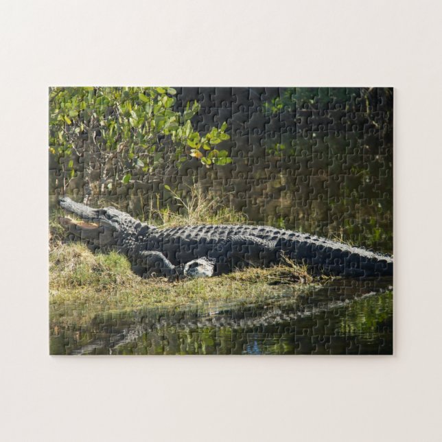 Puzzle El lagarto en el Sol de Florida (Horizontal)