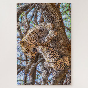 Puzzle El Leopardo De Safari De Vida Silvestre Sentado En