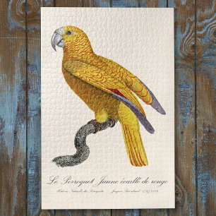 Puzzle El loro amarillo escamado de rojo