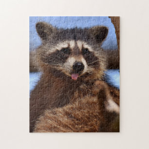 Puzzle El mapache divertido que lo pega es lengua hacia