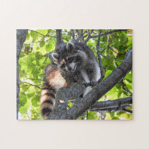 Puzzle El mapache en un árbol