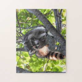 Puzzle El mapache en un árbol