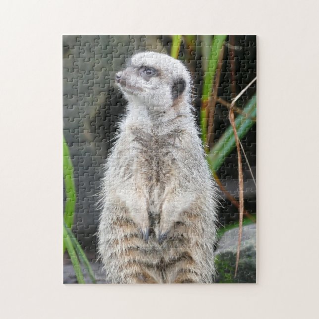 Puzzle El Meerkat está llamando la atención (Vertical)