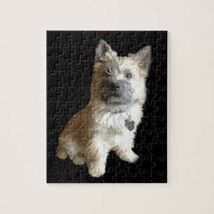 Puzzle ¡El mojón Terrier más lindo nunca!  ¡Más lindo que