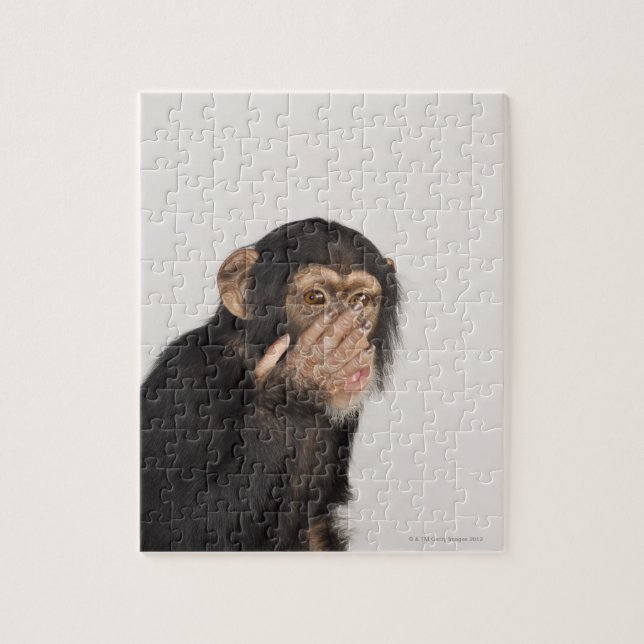 Puzzle El mono frotándose la cara (Vertical)