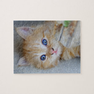 Puzzle El Naranja Tabby Kitten