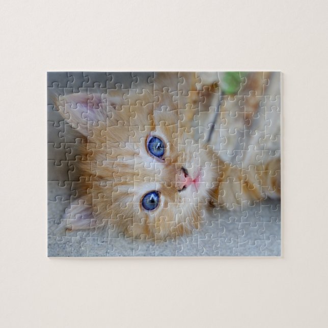 Puzzle El Naranja Tabby Kitten (Horizontal)