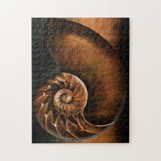 Puzzle El nautilus Shell desconcierta
