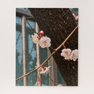 Puzzle El noble llamado de la primavera coreana