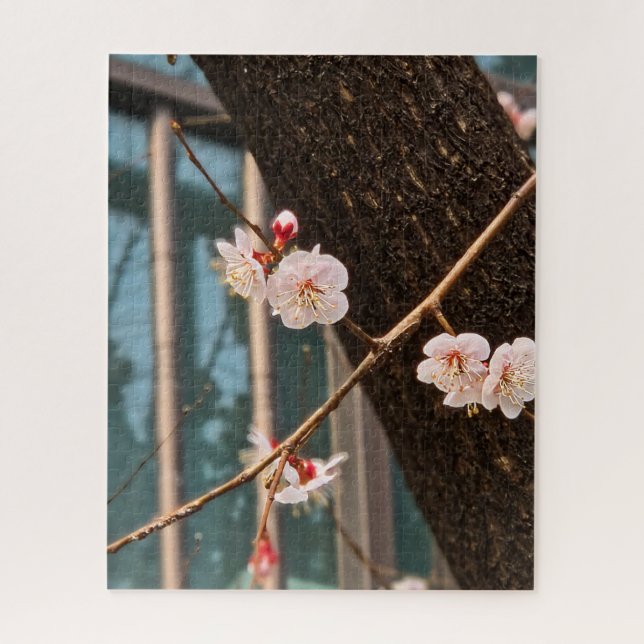 Puzzle El noble llamado de la primavera coreana (Vertical)