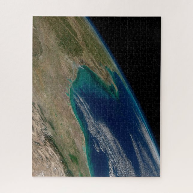 Puzzle El Norte Del Golfo De México. (Vertical)