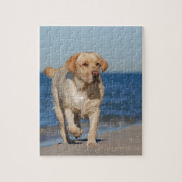 Puzzle El nuevo labrador amarillo en la playa