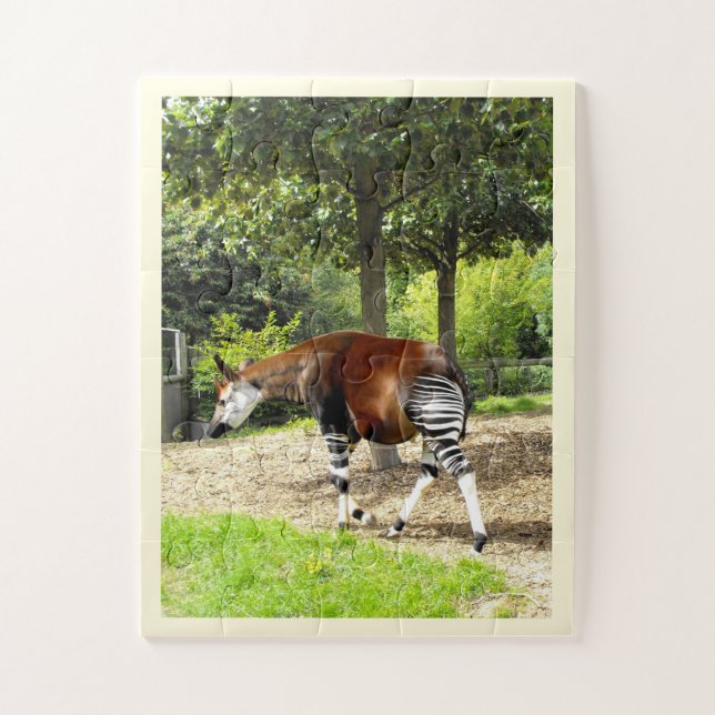 Puzzle El Okapi hermoso (Vertical)