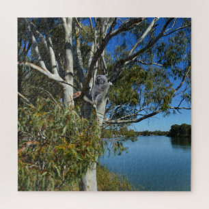 Puzzle El Oso De Koala Dormía En El Árbol De Goma,
