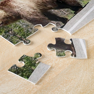 Puzzle El oso grizzly salvaje mamá y cobs en piedra amari