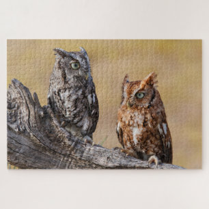Puzzle El Ow Roosting de gritos orientales en el árbol