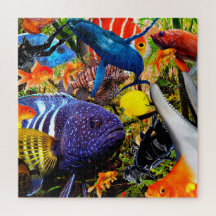 EL PADDLE DE PING PONG ACUÁTICO DE VIDA