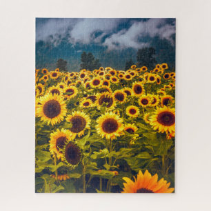 Puzzle El paisaje del campo del girasol florece en amaril
