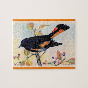 Puzzle El pájaro Redstart