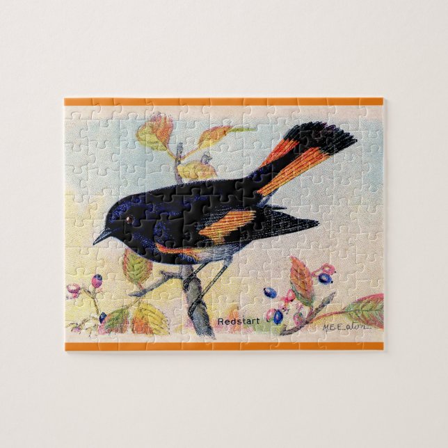 Puzzle El pájaro Redstart (Horizontal)