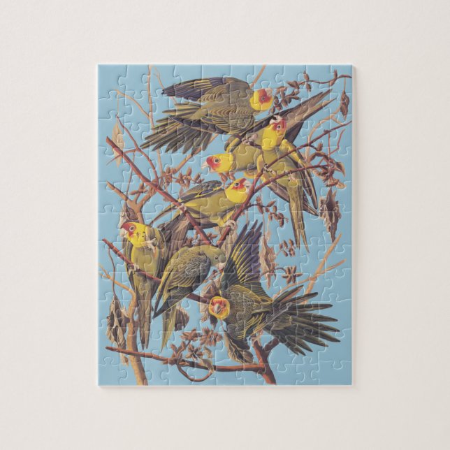 Puzzle El paracaídas de Carolina de Audubon (Vertical)