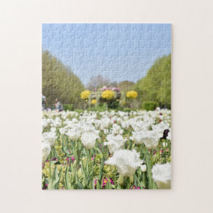 Puzzle El parque del regente de tulipanes blancos florió