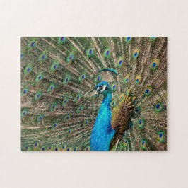 Puzzle El pavo real azul