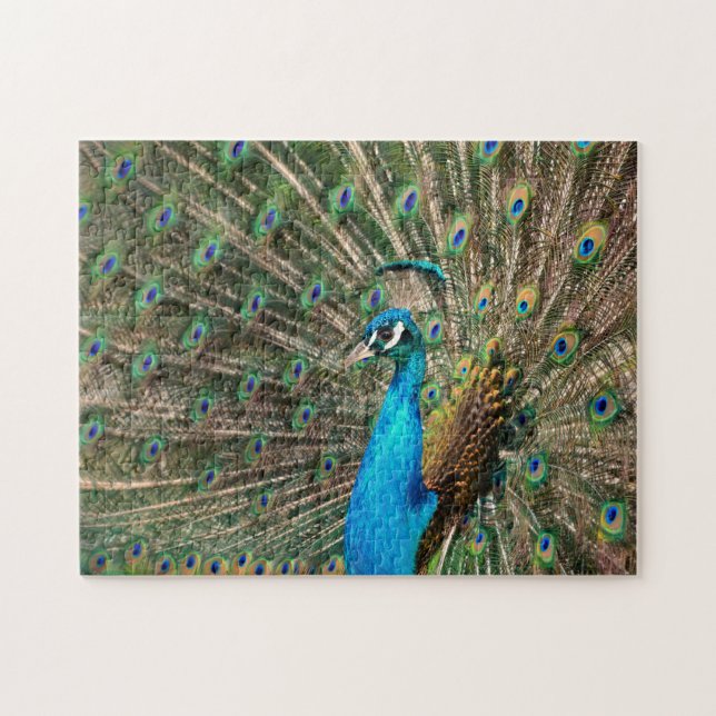 Puzzle El pavo real azul (Horizontal)