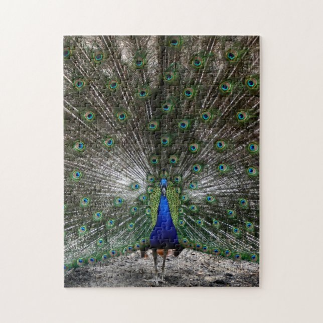 Puzzle El pavo real difícil de los regalos de los (Vertical)
