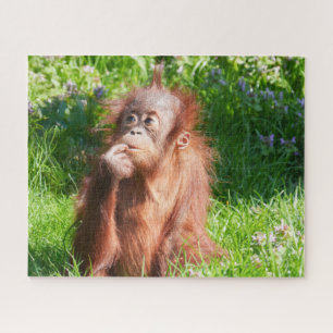 Puzzle El pensamiento de la joven orangután