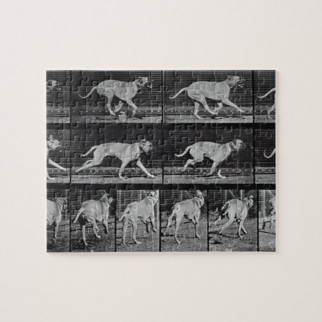 Puzzle El perro corriente, platea 707 de la "locomoción (Horizontal)