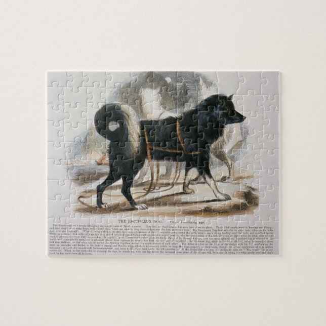 Puzzle El perro de Esquimaux (familiaris) del Canis i (Horizontal)