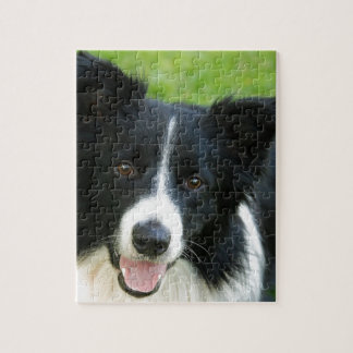 Puzzle El perro del border collie añade al mascota del