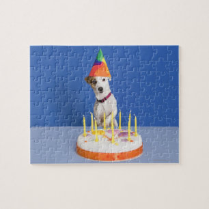 Puzzle El perro Jack Russell Terrier usando gorra fiesta