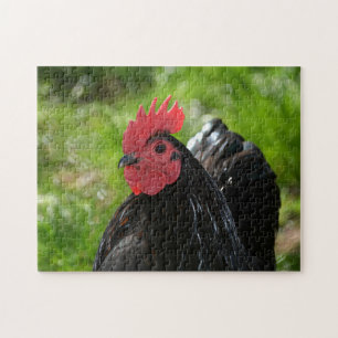 Puzzle El pollo