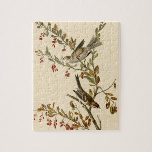 Puzzle El resplandor de árboles norteamericanos, los pája