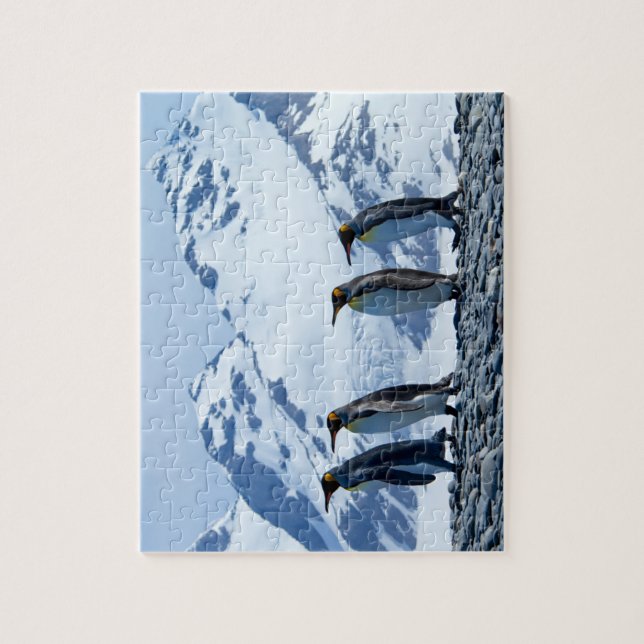 Puzzle El rey Pingüinos en Georgia del Sur (Vertical)