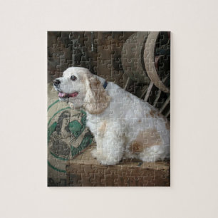 Puzzle el sentarse de cocker spaniel del americano