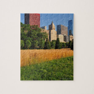 Puzzle El sol, se refleja en praderas como hierba en