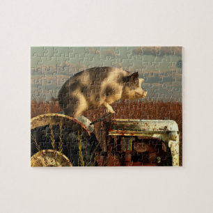 Puzzle El sueño de un cerdo