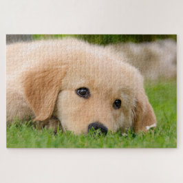 Puzzle El Tirador de Oro Soñando con Cachorros