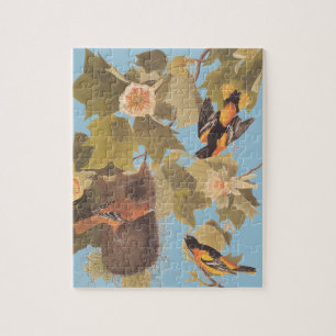 Puzzle El trío oriental de Baltimore para Audubon